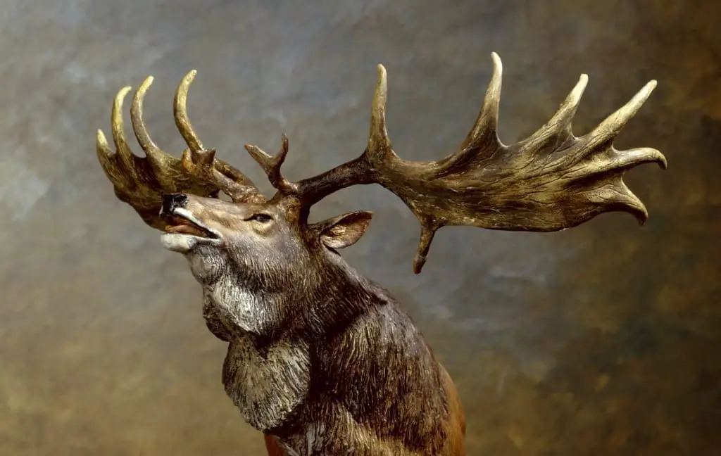 Irish Elk Facts | Irish Setter Elk Tracker | Fun Facts For Kids