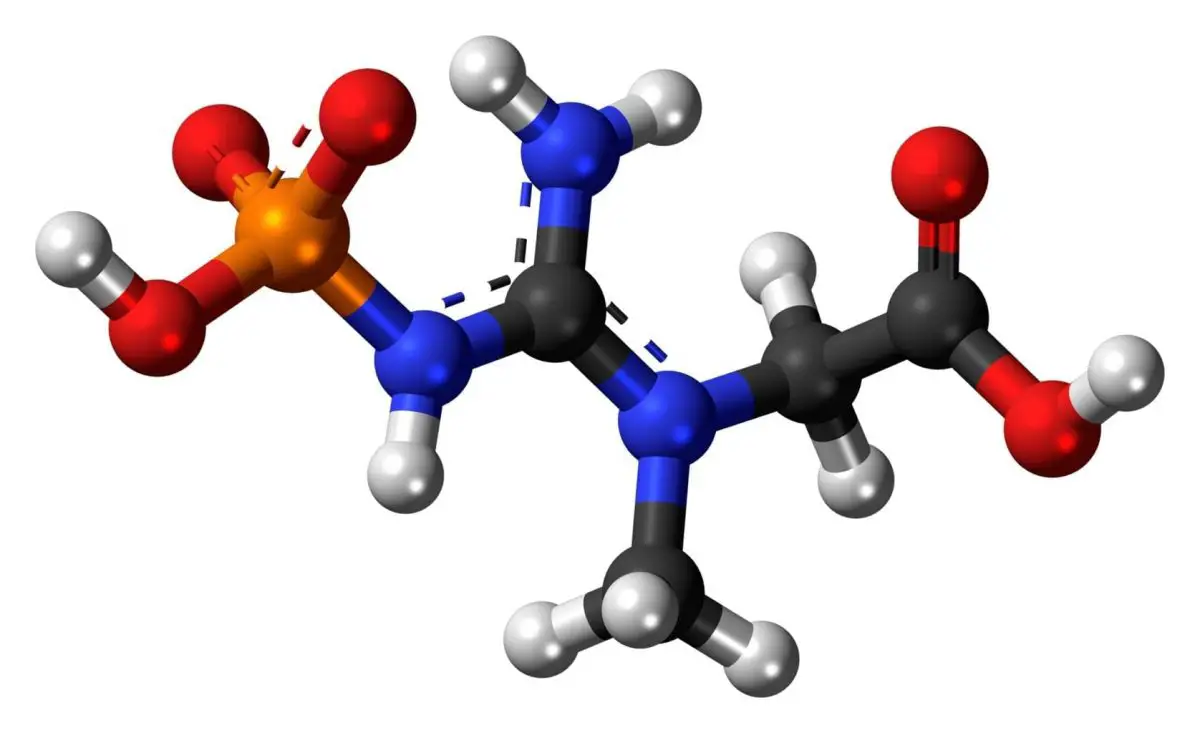 main source of energy for cell activities