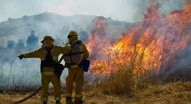 Structure vs. Wildland Firefighters: How Are They Different?