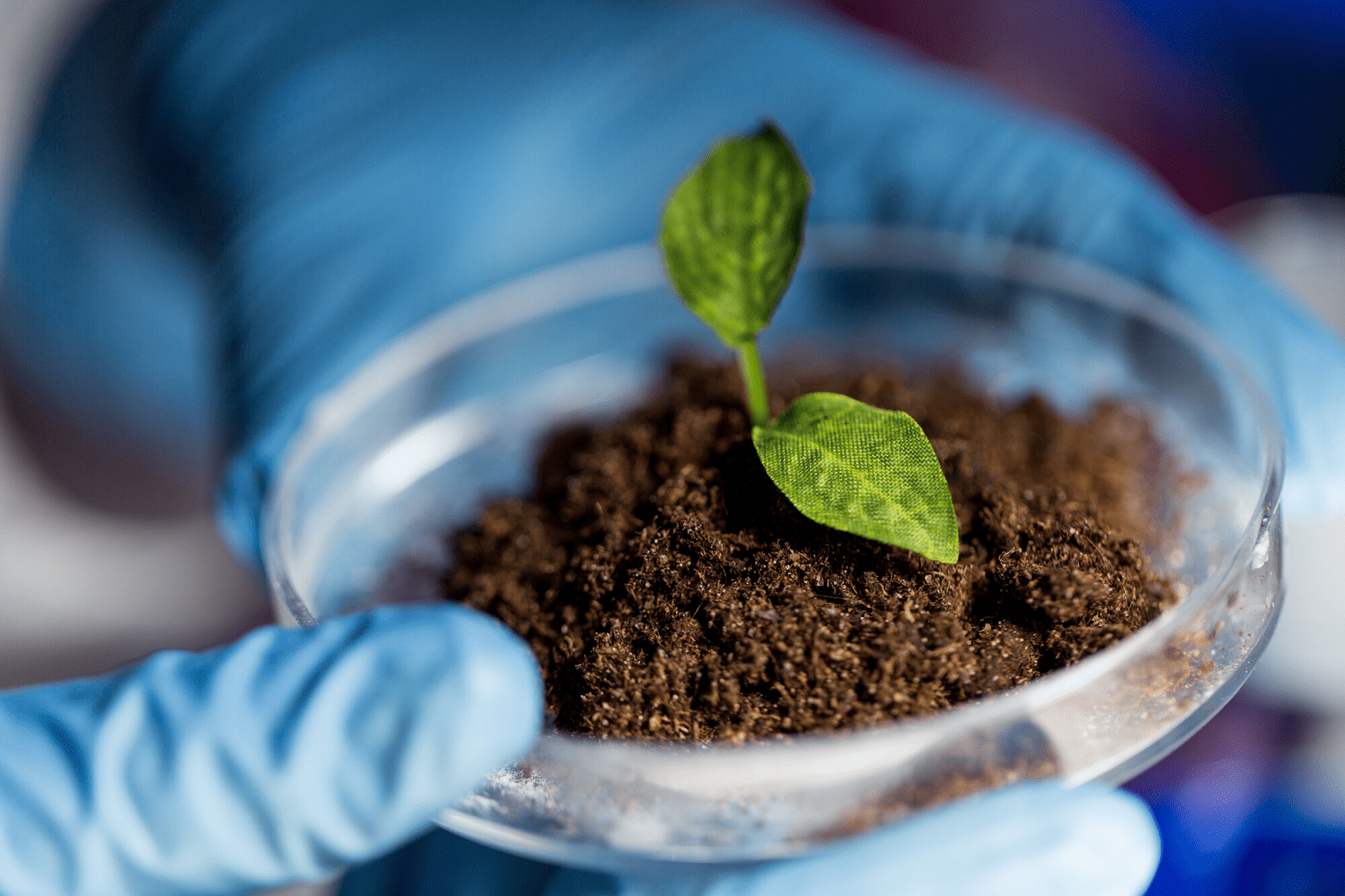 What Is Plant Science A Complete Breakdown