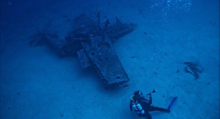 5 Mind-Blowing Developments in Underwater Photography