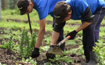 Adapting Herb Cultivation to Year-Round Changes