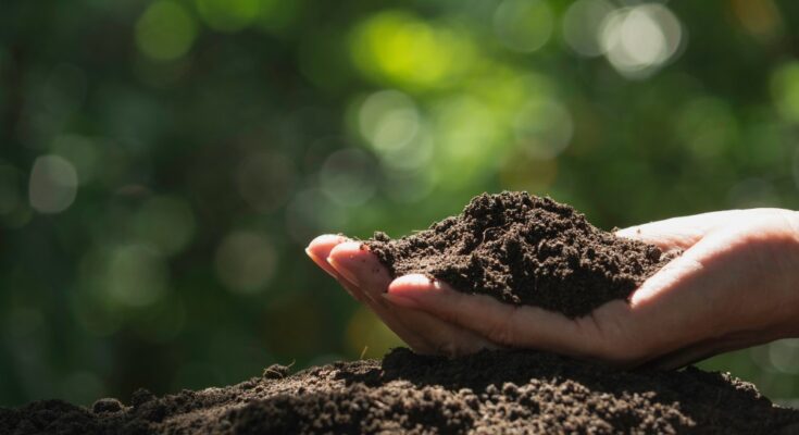 A person's hand holds a handful of healthy brown soil on top of a mound of dirt in front of a background of green plants.