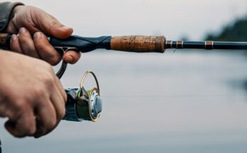 A Comprehensive Guide to Fishing Gear for Beginners