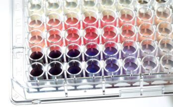 A selection of colored immunoassays are collected on a microplate together. They come in a range of purple, pink, and clear.