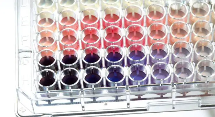 A selection of colored immunoassays are collected on a microplate together. They come in a range of purple, pink, and clear.