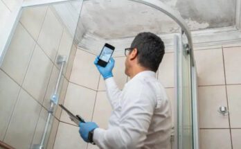 Benefits Of Professional Mold Remediation For Your Property Value