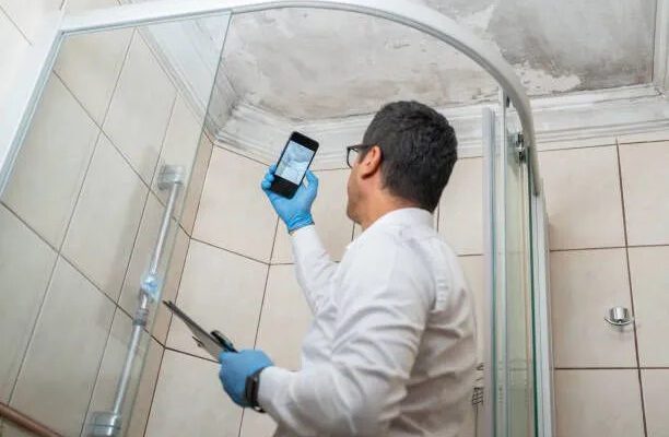 Benefits Of Professional Mold Remediation For Your Property Value