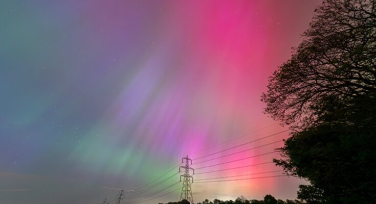 A massive display of the northern lights in pink, purple, and green over a country road lined with trees and power lines.