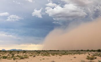 A large chunk of land with a huge dust cloud hanging over half of it. The dust needs controlled via moisture.