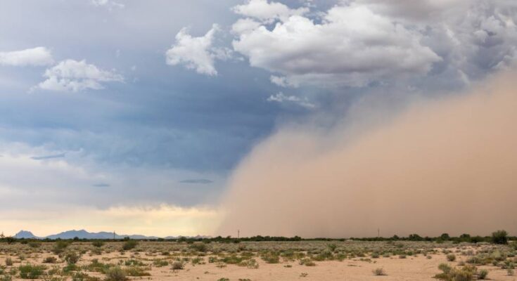 A large chunk of land with a huge dust cloud hanging over half of it. The dust needs controlled via moisture.