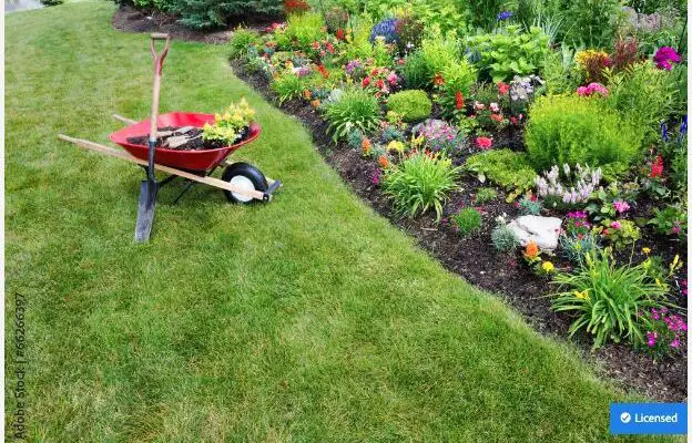 A wheelbarrow containing a plant and some mulch situated next to a landscaped garden area with various flowers and plants.