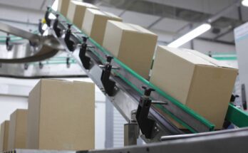 Multiple sealed cardboard boxes moving along a conveyor belt inside a factory setting.