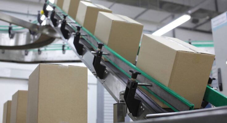 Multiple sealed cardboard boxes moving along a conveyor belt inside a factory setting.