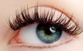 A woman's eye. Her eye is blue with brown central heterochromia, and it's framed by extremely long, thick lashes.