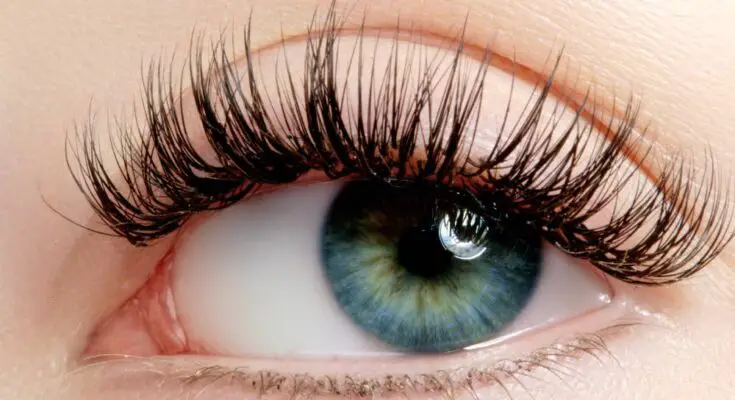 A woman's eye. Her eye is blue with brown central heterochromia, and it's framed by extremely long, thick lashes.