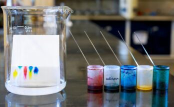 A large clear beaker contains paper with blue, yellow, red, and green ink blotches. Small containers have the same colors.