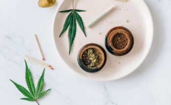 Ways Technology is Revolutionizing the Cannabis Industry