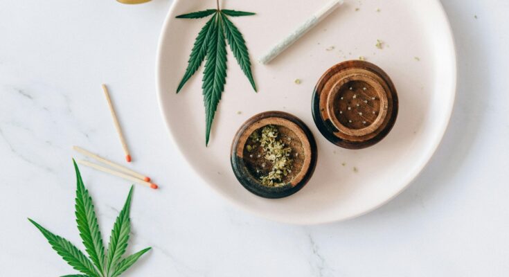 Ways Technology is Revolutionizing the Cannabis Industry