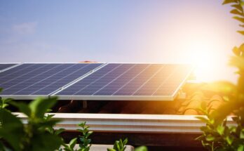 A row of solar panels on a building's roof, with bright sunlight shining down and plants framing the rooftop.