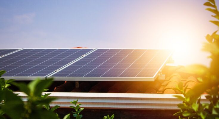 A row of solar panels on a building's roof, with bright sunlight shining down and plants framing the rooftop.