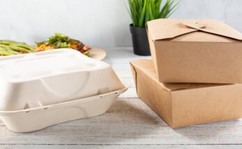 A set of paper to-go containers sitting on a table. There's a plate of food and a plant on the table behind the containers.