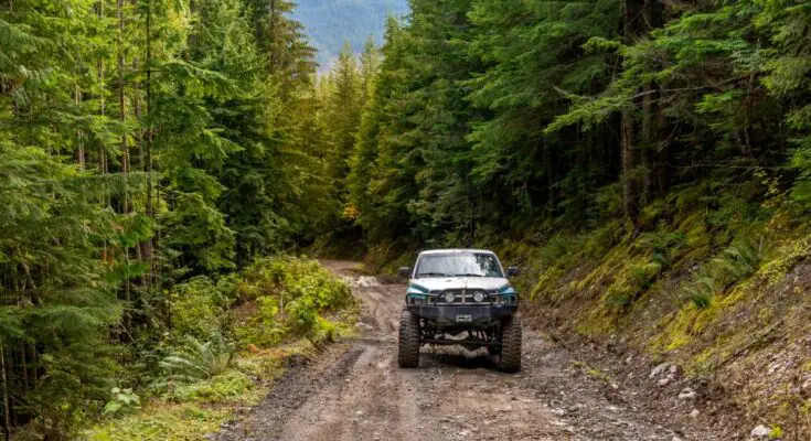 A silver-lifted truck drives on a dirt road that's covered in rocks and surrounded by tall, mature trees.