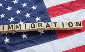 A series of wooden blocks spell "Immigration" in black text. The blocks are lying on an American flag.