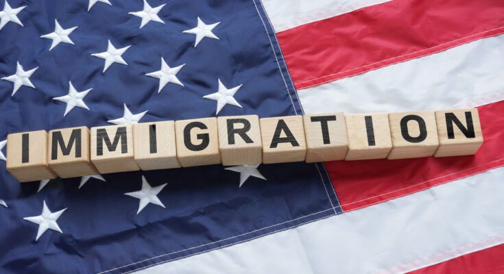 A series of wooden blocks spell "Immigration" in black text. The blocks are lying on an American flag.