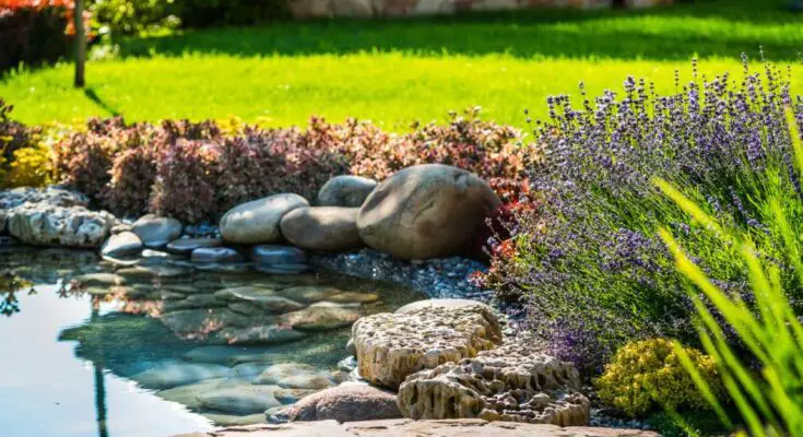 A paved path leads to a water feature surrounded by purple and red plants and rocks in a backyard.