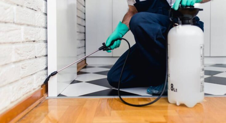 A professional exterminator using a spraying device to apply pest prevention chemicals in the corner of a kitchen.