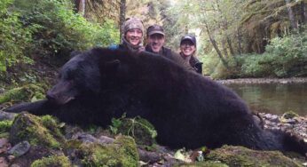 Embracing Nature’s Balance Through Black Bear Hunting Journeys